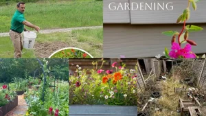 24+ Chaos Gardening Flowers Gardening Beginners Love