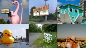 20+ Quirky Roadside Attraction Trip Ideas Locals Swear By