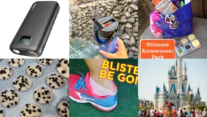 10+ Essential Theme Park Packing List Hacks Pros Swear By