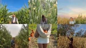 12+ Cute Corn Maze Outfit Ideas You Need to Try This Year