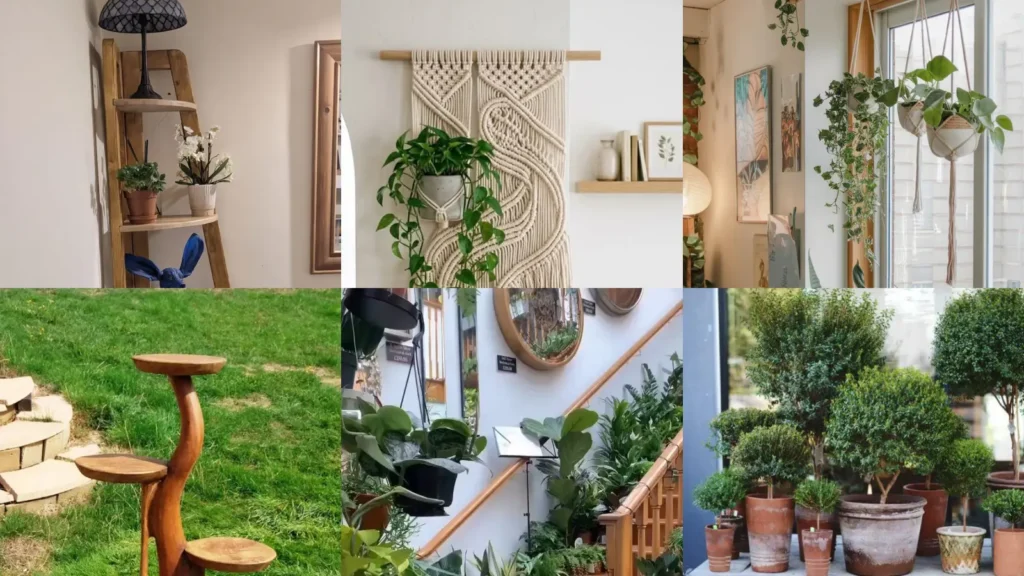 18+ Stunning House Plant Display Ideas That Transform Any Room