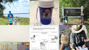 14+ Essential National Park With Kids Tips That Save Sanity