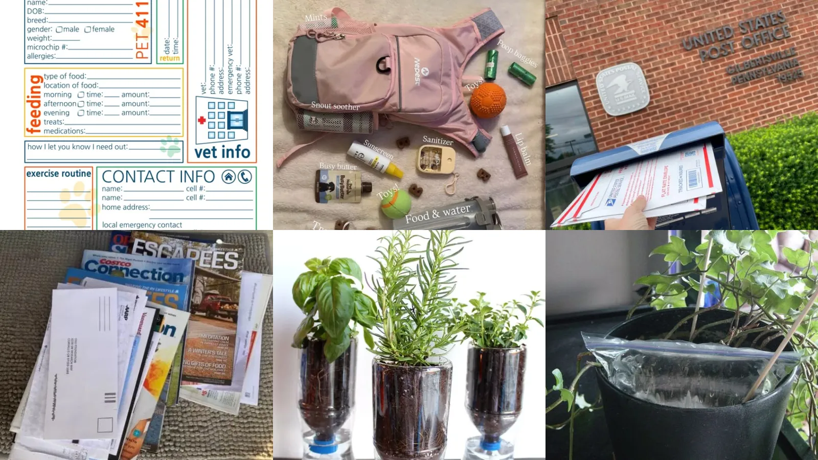 13+ Essential Pet Sitter Checklist Travel Hacks Pros Swear By