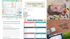 13+ Essential Pet Sitter Checklist Travel Hacks Pros Swear By