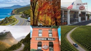 20+ Dreamy Sunday Drive Ideas That Beat the Gym