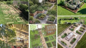 20 Garden Layout With Greenhouse Ideas to Inspire Your Growing Space