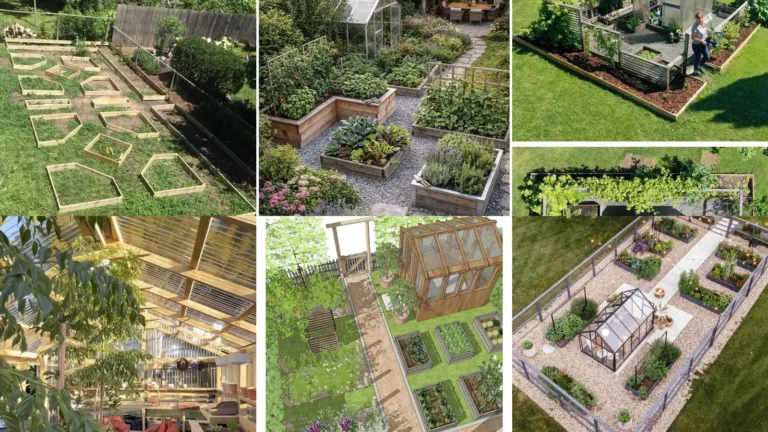 20 Garden Layout With Greenhouse Ideas to Inspire Your Growing Space