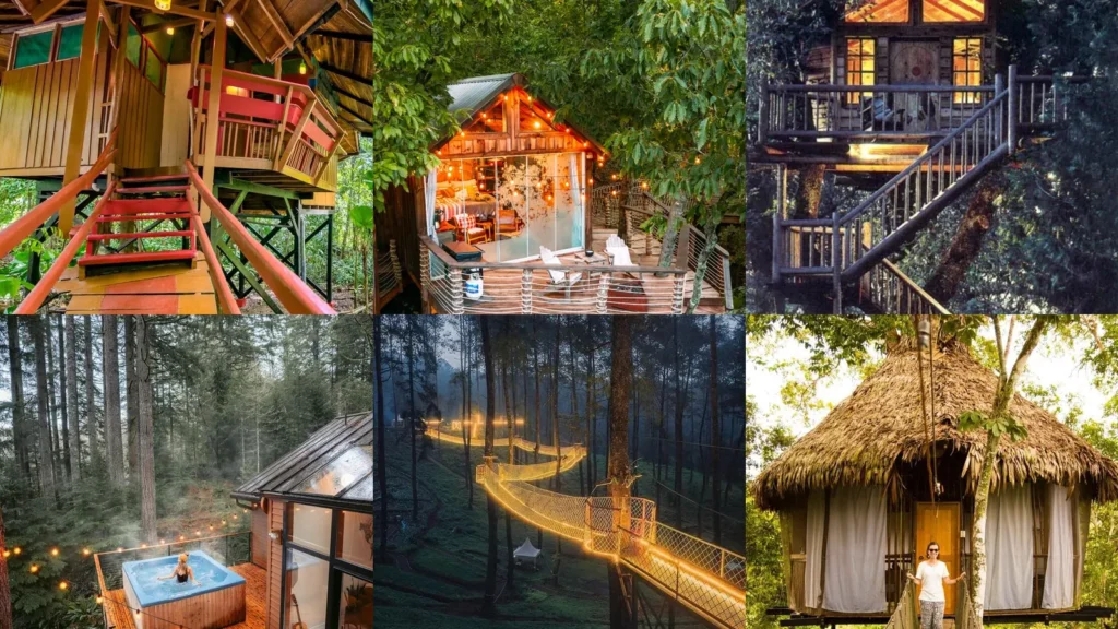 20 Treehouse Vacation Destinations and Forest Stay Ideas to Inspire Your Next Trip